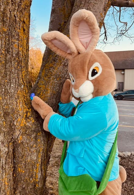 Frank as the Easter Bunny